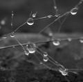 gotas.jpg